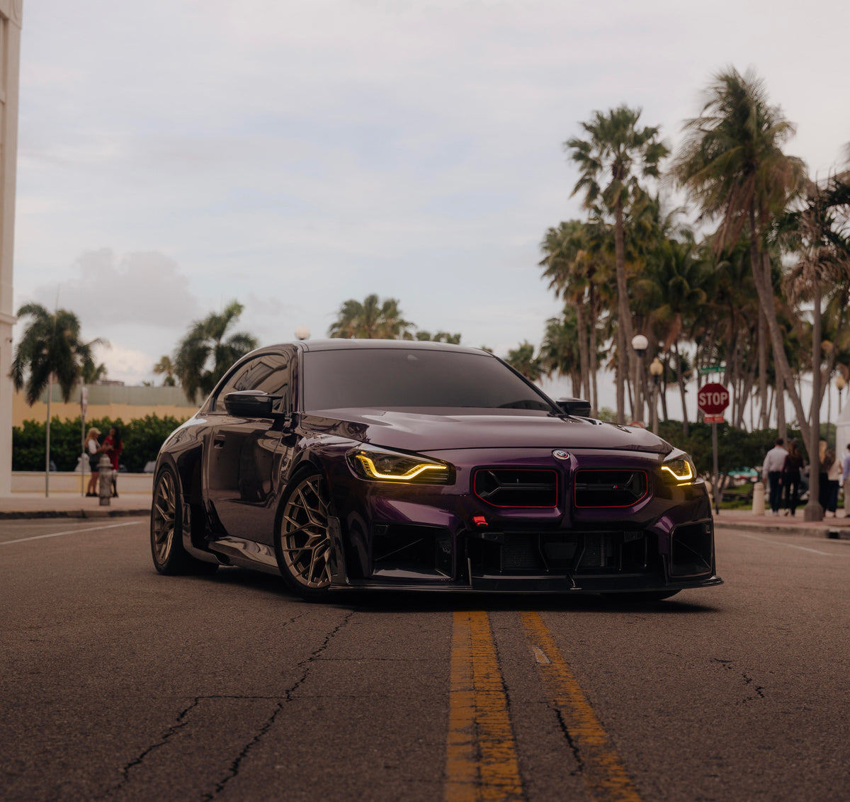 CS Software G87 M2